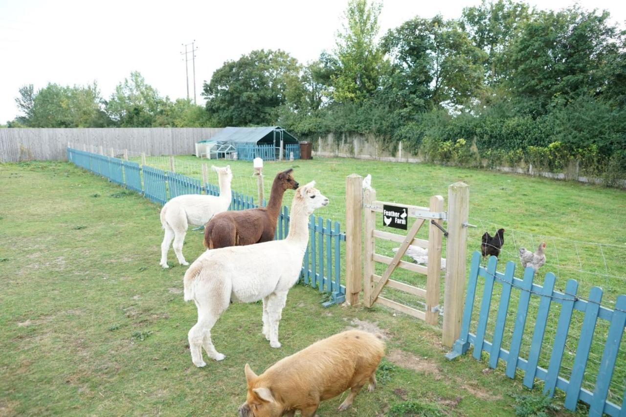 Alpaca Lodge 锡廷伯恩 外观 照片